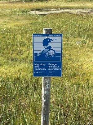 Benachbartes Zugvogel-Naturschutzgebiet