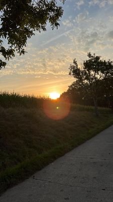 Impression Natur um Egringen.jpeg