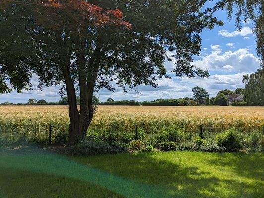 Blick vom Grundstück (im Frühjahr)