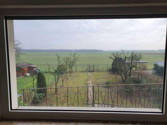 Zündorf-1OG-Ausblick