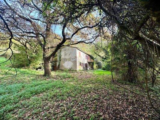 WhatsApp Image 2024-11-05 at 11.23.59 (4).jpeg