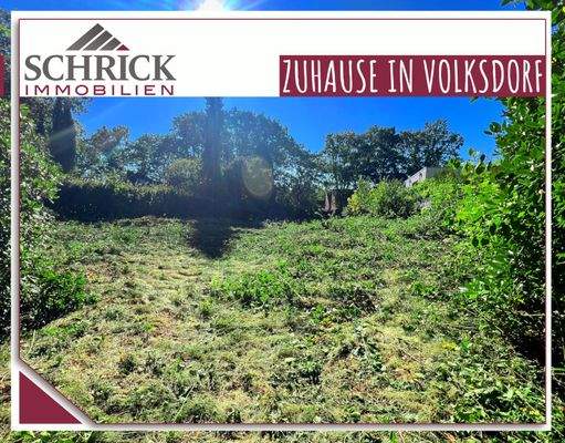 SCHRICK IMMOBILIEN: Volksdorf