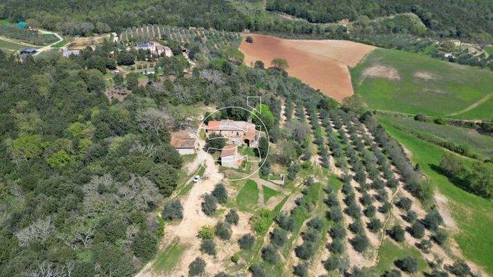 Großflächiges Anwesen