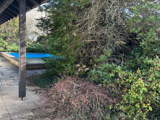 Garten mit Pool