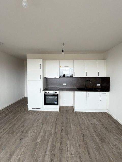 Dresden Wohnungen, Dresden Wohnung mieten