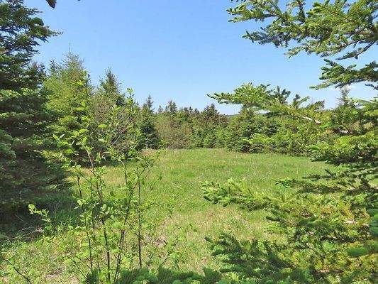 Cape Breton - Wunderschönes 10-Hektar-Areal inmitt