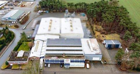 Bösel Halle, Bösel Hallenfläche