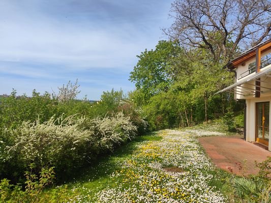 Terrasse und Garten