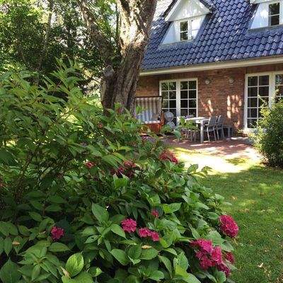 Terrasse rundum begrünt