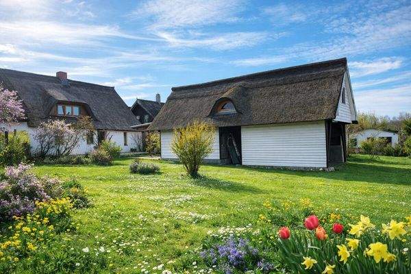 Frühling auf dem Land