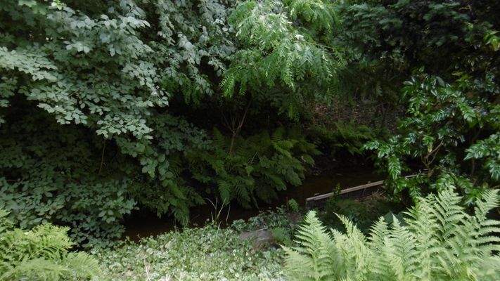 das kleine Bächlein