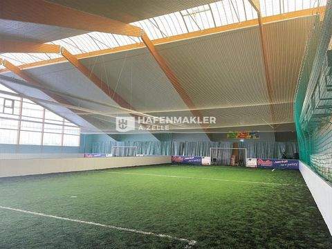 Lauenburg Halle, Lauenburg Hallenfläche