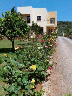 Kreta, Exo Lakonia: 5-Zimmer-Villa mit großem Olivenhain zu verkaufen