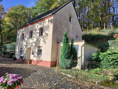 Pronsfeld Häuser, Pronsfeld Haus kaufen