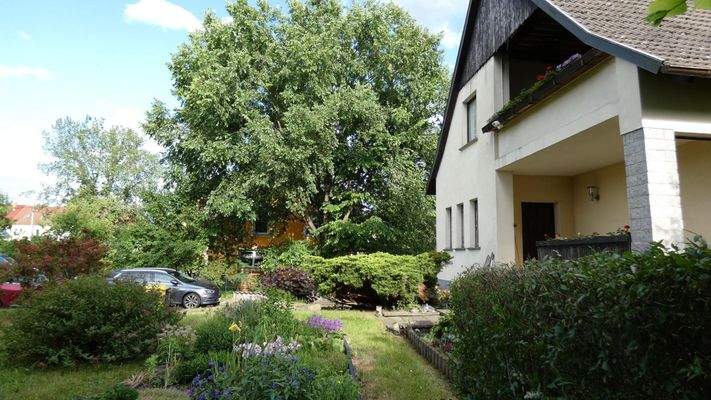 Grundstücksbereich vor dem Haus