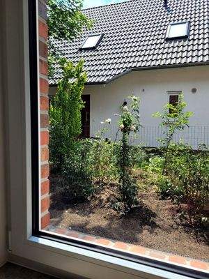 Blick aus dem Arbeitszimmer