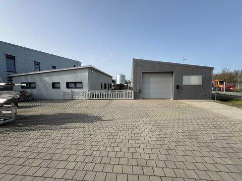 Hartheim am Rhein Halle, Hartheim am Rhein Hallenfläche