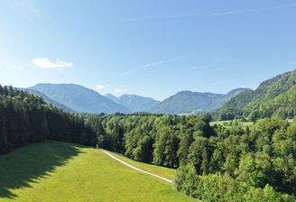 Ausblick