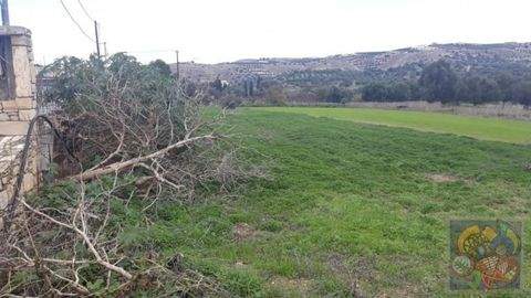 Pitsidia Grundstücke, Pitsidia Grundstück kaufen
