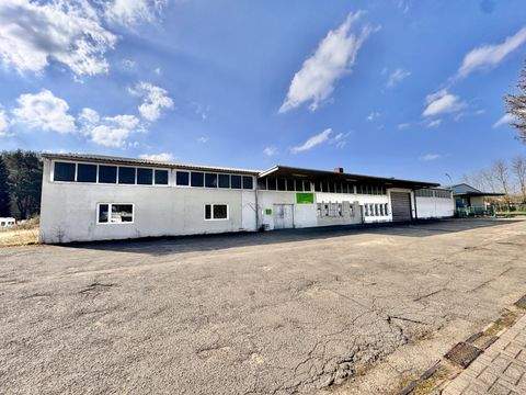 Kindsbach Halle, Kindsbach Hallenfläche