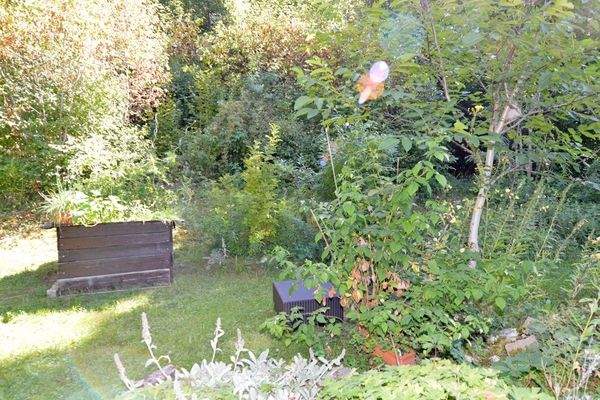 Blick in den Garten