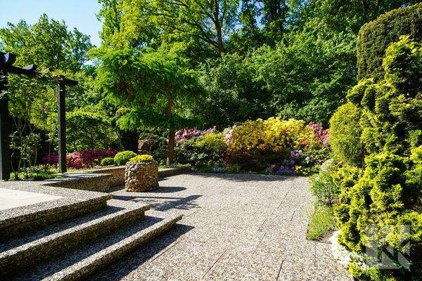 ...direkt am Waldrand