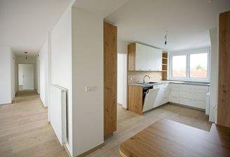 Küche mit Übergang zum Wohnbereich