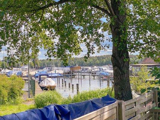 Blick zum Seddinsee vom Grundstück