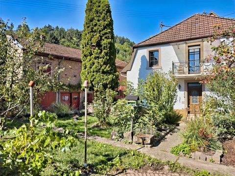 Odenbach Häuser, Odenbach Haus kaufen