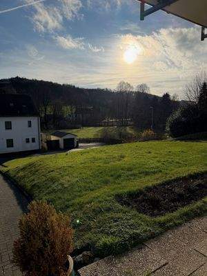 Blick auf grünen Garten