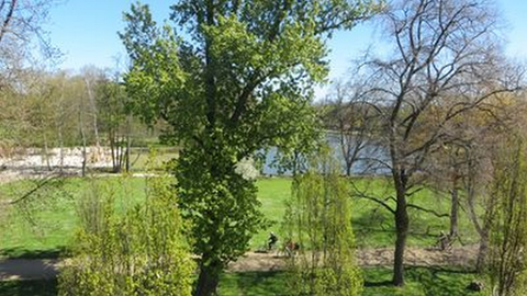 Frankfurt am Main Wohnungen, Frankfurt am Main Wohnung mieten