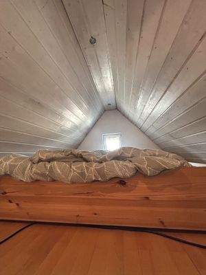 Dachspitz: Rückzugsort