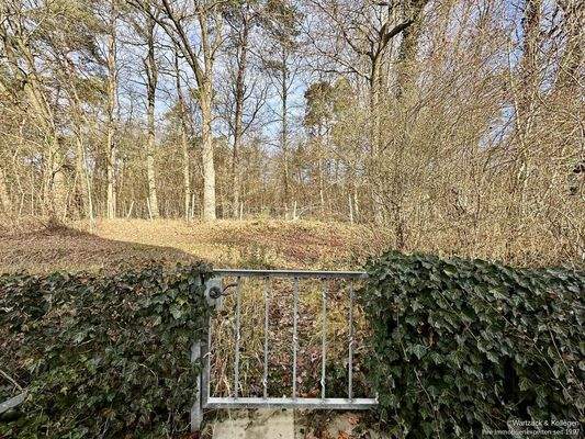Zugang zum angrenzenden Wald