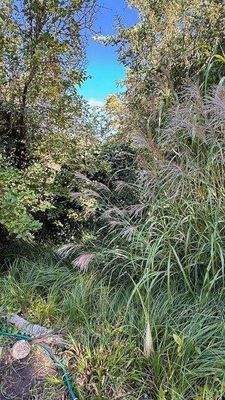 liebevoll bepflanzt.jpg