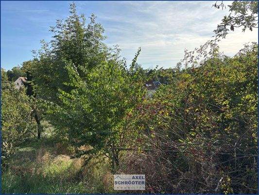 Grundstücksgrenze Nord