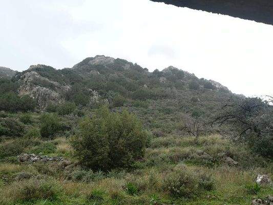 Kreta, Istro: Grundstück mit Rohbau nahe am Meer zu verkaufen