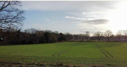 Tangstedt Renditeobjekte, Mehrfamilienhäuser, Geschäftshäuser, Kapitalanlage