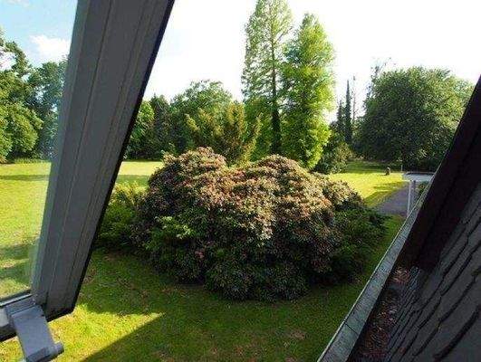 Büroblick in den Park - Office view of the park