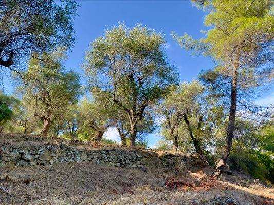 DA1046_10 TERRA ITALIA IMMOBILIEN_REAL ESTATE_FOR 