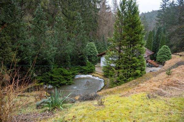 Teich zum Gästehaus