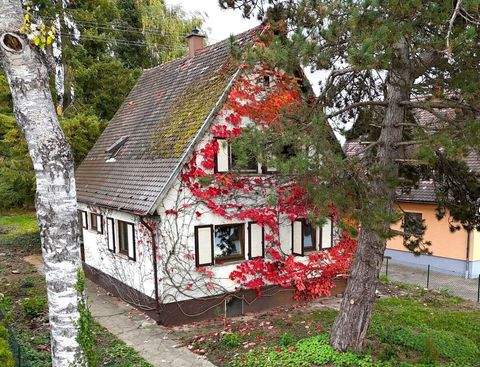 Villingen-Schwenningen Häuser, Villingen-Schwenningen Haus kaufen