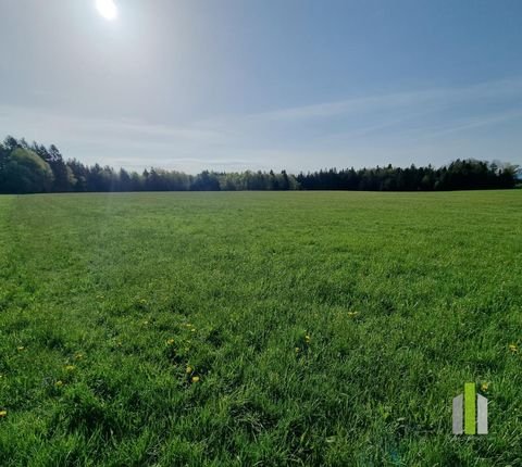 Obertrum am See Grundstücke, Obertrum am See Grundstück kaufen