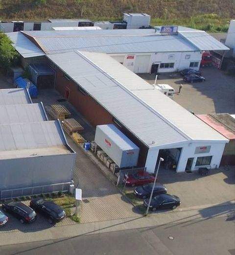 Erlangen Halle, Erlangen Hallenfläche