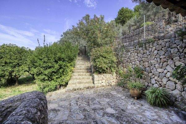 Finca-Soller