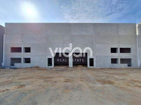 Düsseldorf Halle, Düsseldorf Hallenfläche