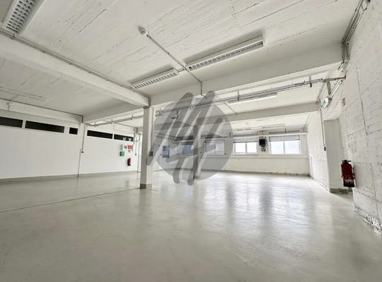 INFOS UNTER: 06171-586000