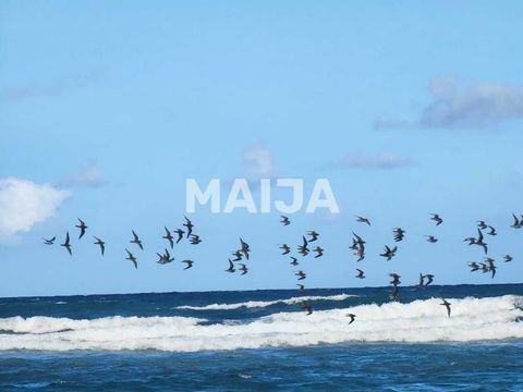 Punta Cana Grundstücke, Punta Cana Grundstück kaufen