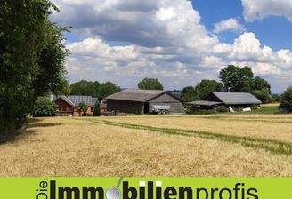 Titelbild 1365