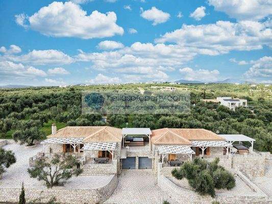 87068b94ba484043bc858204d1cec6ed-original