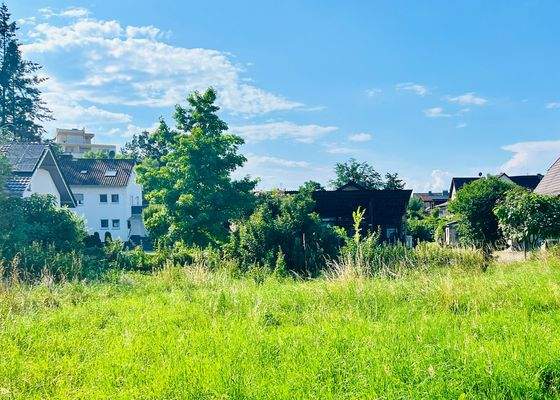 IMG_9370 Bilder Bad Krozingen Schw.JPG